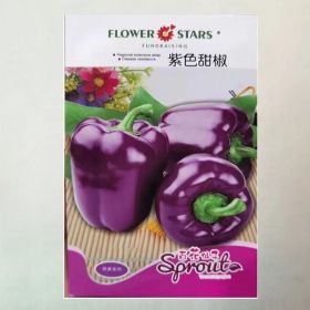 Purple Color Sweet Pepper Seeds Pimento Pepper Big Pepper High-yield Vegetables Seed