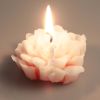 Handmade Carnation Scented Candle(4 Colors/pack)