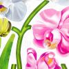 Aromatic Flowers - Wall Decals Stickers Appliques Home Decor