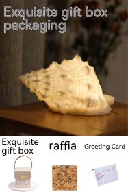 Home Nordic Conch Shell Light (Option: Conch box)